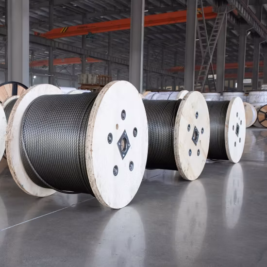 1X7/1X19/7X7/7X19/6X7+FC/6X19+FC SUS304/SUS316 Industrie/Automobil/Bauwesen/Kommunikation oder medizinische Geräte Verwenden Sie Stahldrahtseile