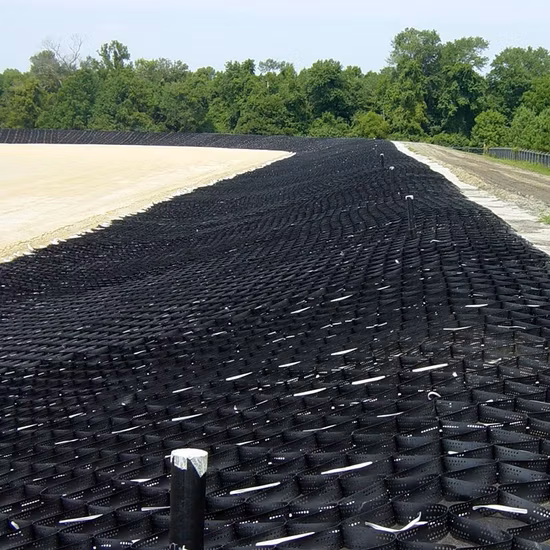 100 mm Kunststoff-HDPE-Kiesstabilisator-Gitter, Fertiger, Hang-Bodenschutz-Geozelle